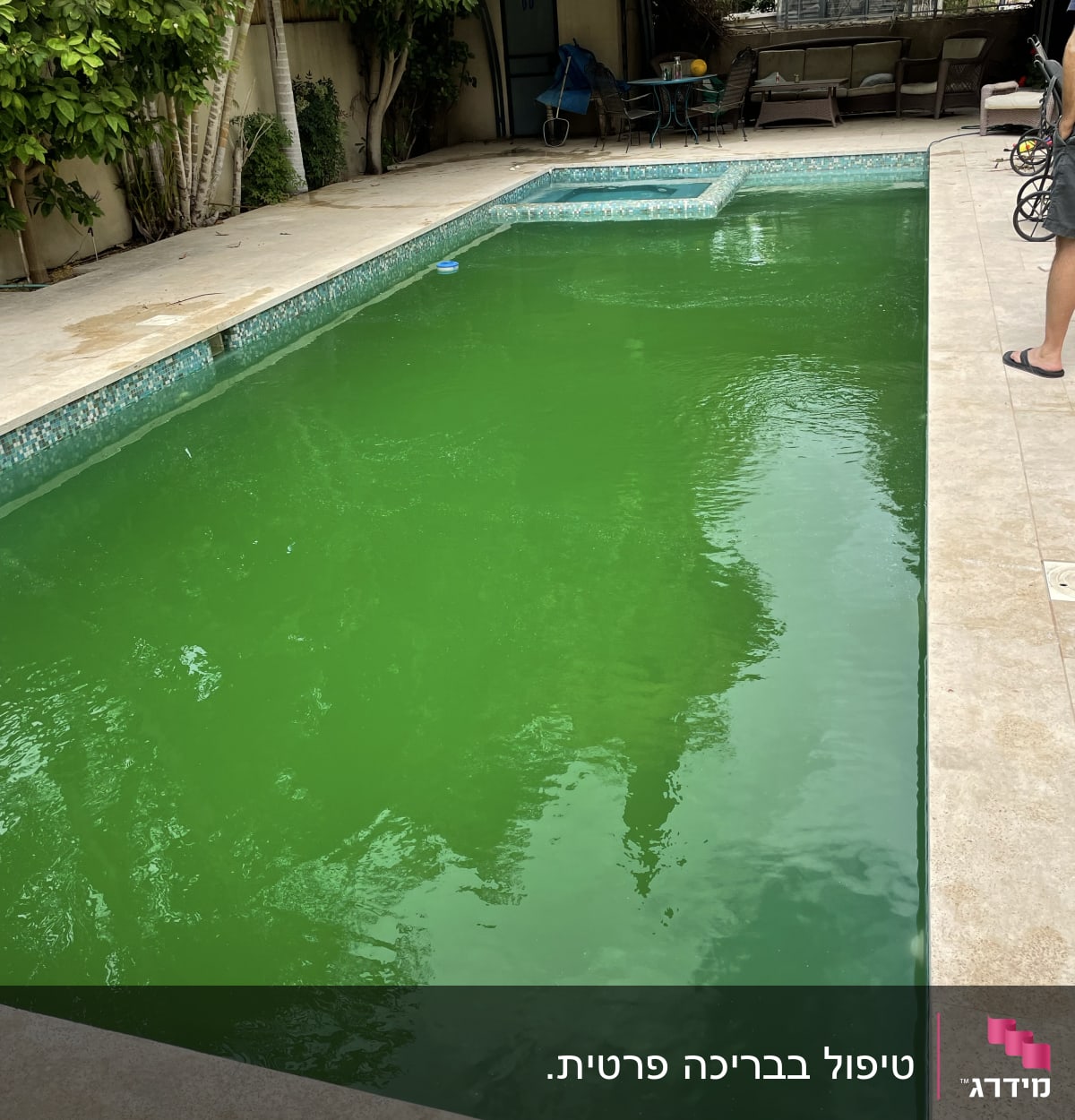 בריכה ירוקה עם מים עכורים, אדם עומד בצד